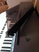 Roland Electronic Organ At-45