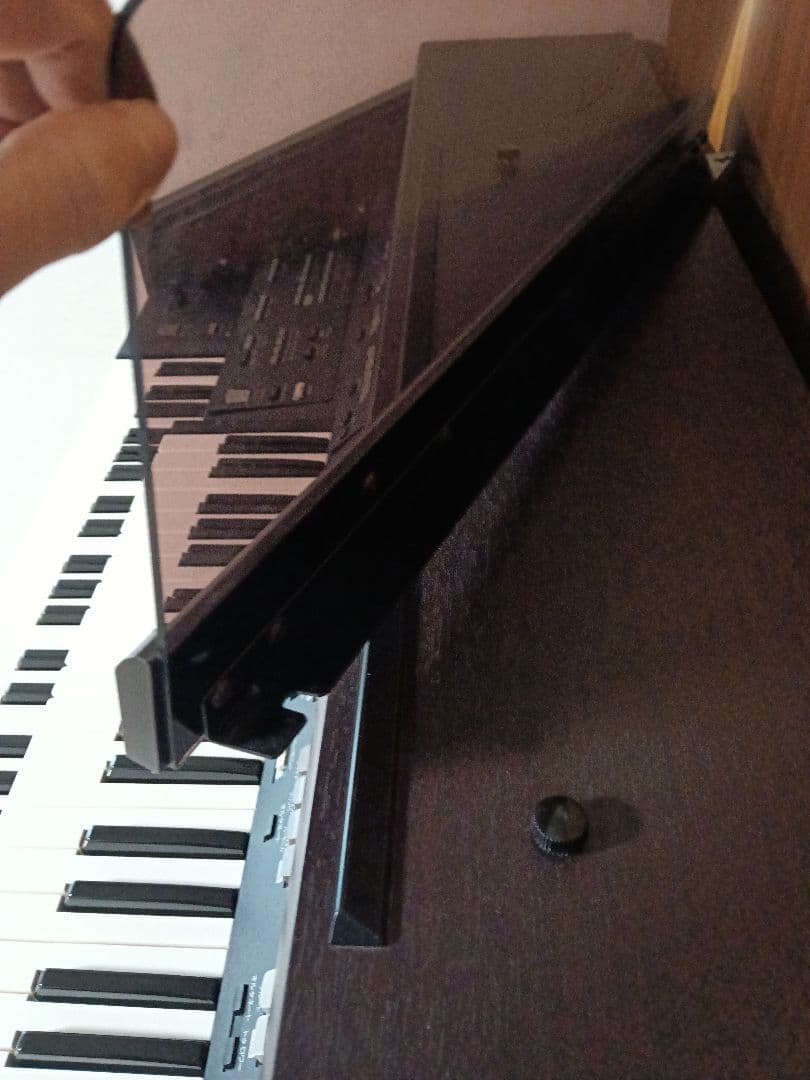 Roland Electronic Organ At-45