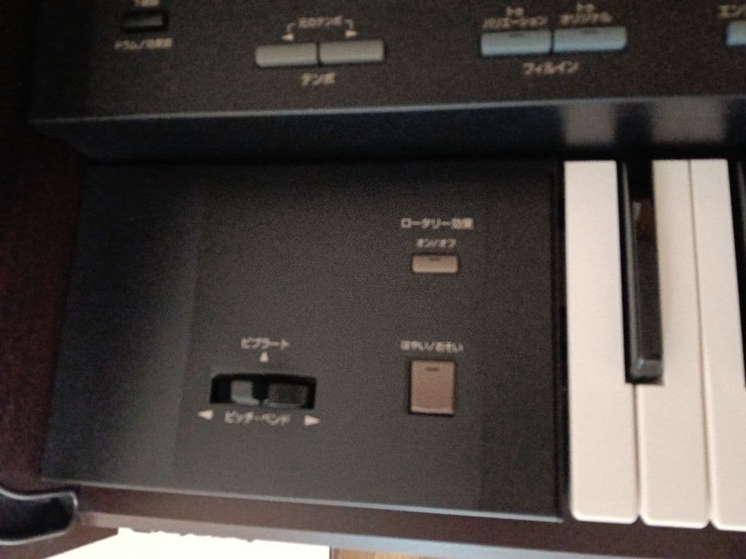 Roland Electronic Organ At-45