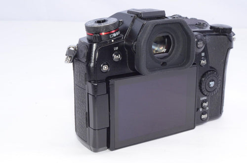 Mirrorless Interchangeable Lips Panasonic G9 Dc-G9-K