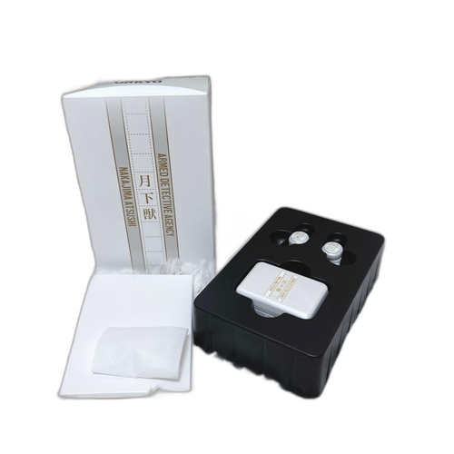 Onkyo Wireless Earphone