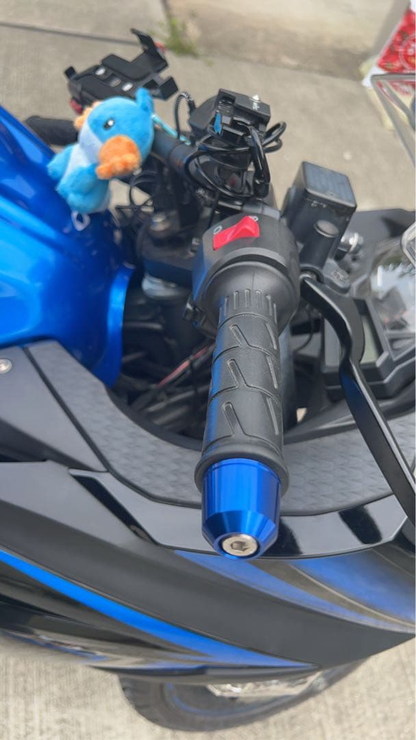 Kawasaki Motorcycle Frames Ninja250