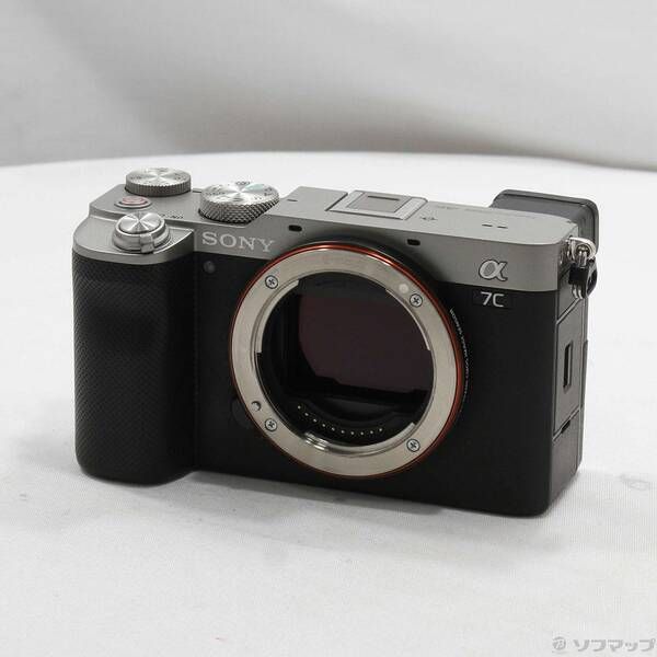 Sony Mirrorless Interchangeable Lips 7C 258
