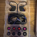 Final Wired Earphones Vr3000