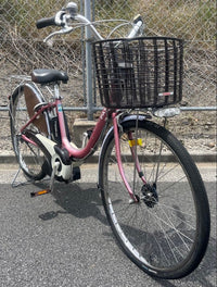 City-Style Bicycles Pas 24