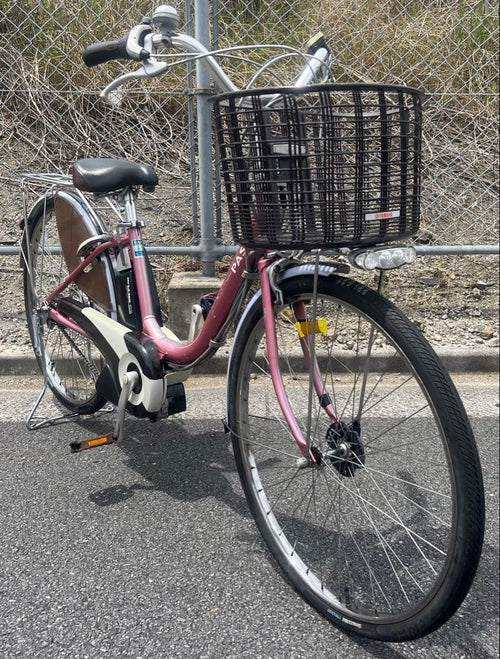 City-Style Bicycles Pas 24
