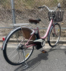 City-Style Bicycles Pas 24