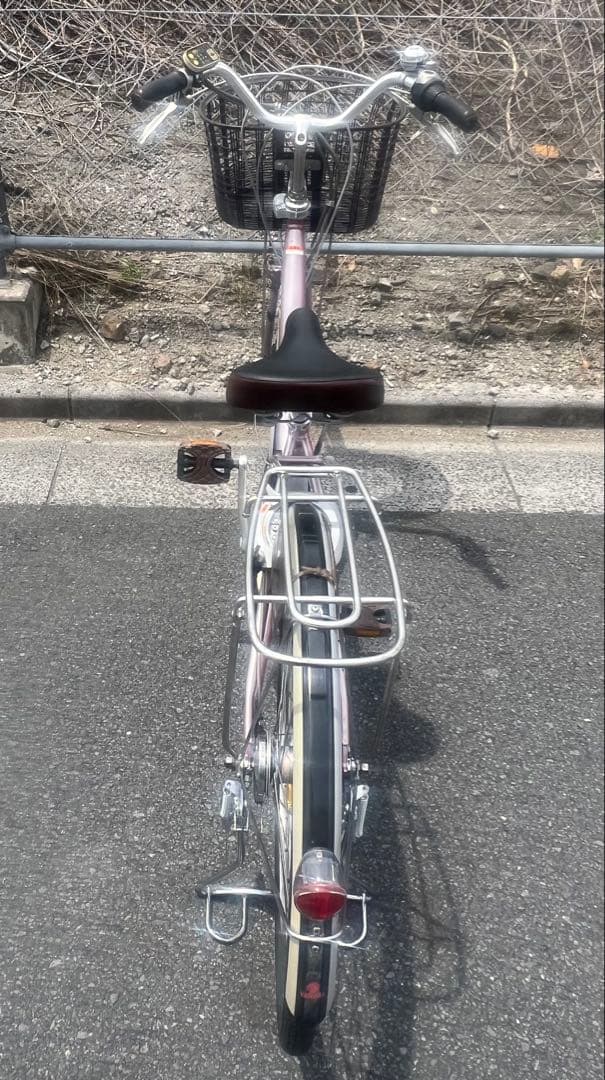 City-Style Bicycles Pas 24