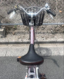 City-Style Bicycles Pas 24