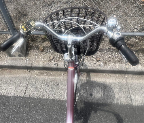 City-Style Bicycles Pas 24