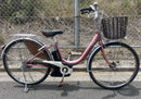 City-Style Bicycles Pas 24