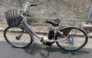 City-Style Bicycles Pas 24