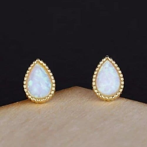 Earrings (For Both Ears) X94 S925