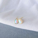 Earrings (For Both Ears) X94 S925