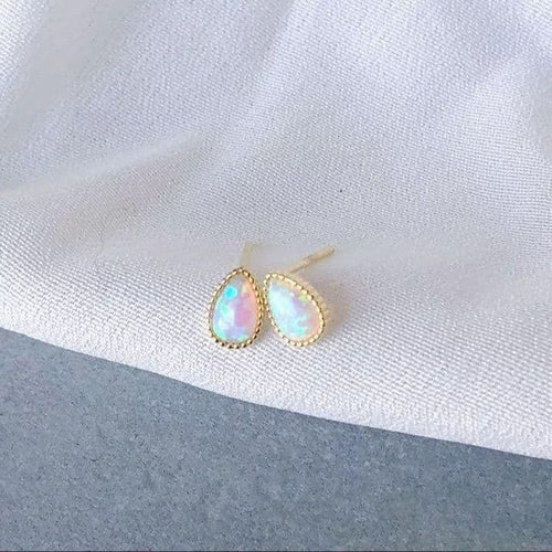 Earrings (For Both Ears) X94 S925