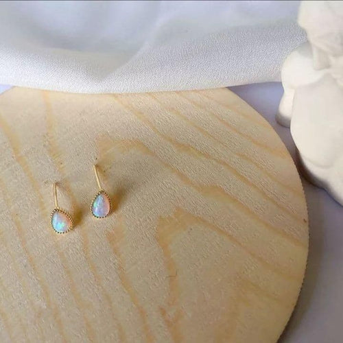 Earrings (For Both Ears) X94 S925