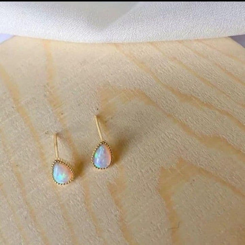 Earrings (For Both Ears) X94 S925