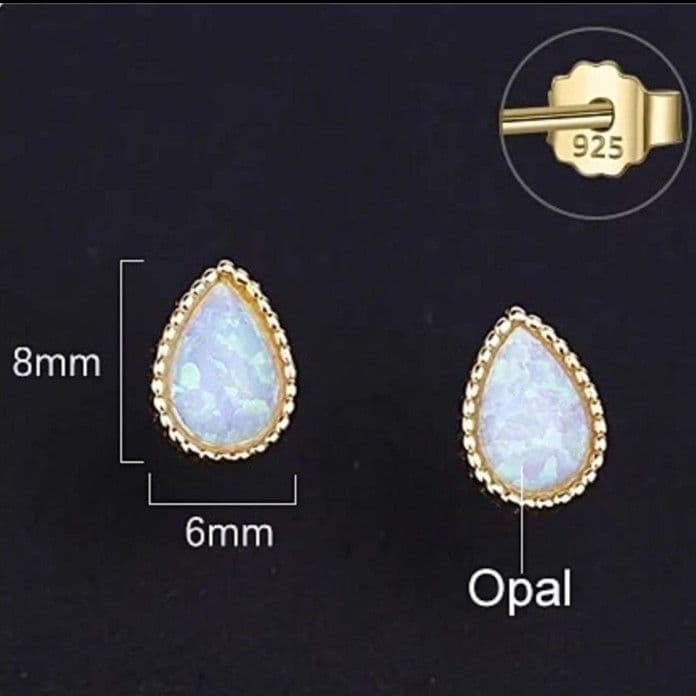 Earrings (For Both Ears) X94 S925