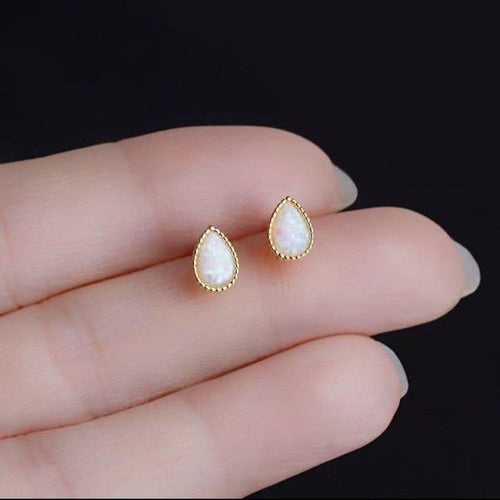 Earrings (For Both Ears) X94 S925