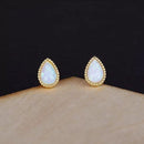 Earrings (For Both Ears) X94 S925