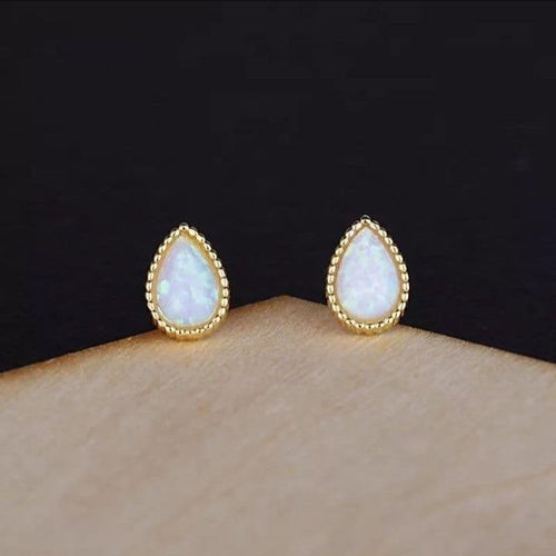 Earrings (For Both Ears) X94 S925