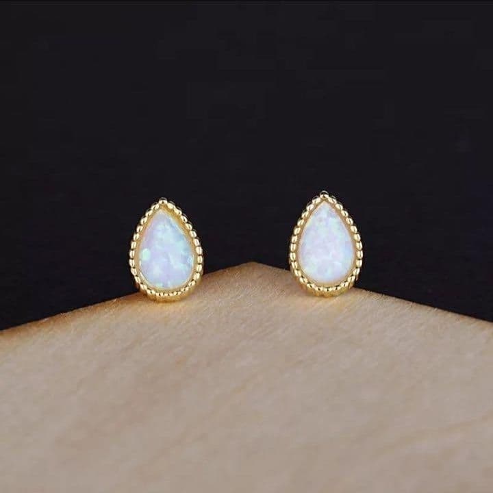 Earrings (For Both Ears) X94 S925