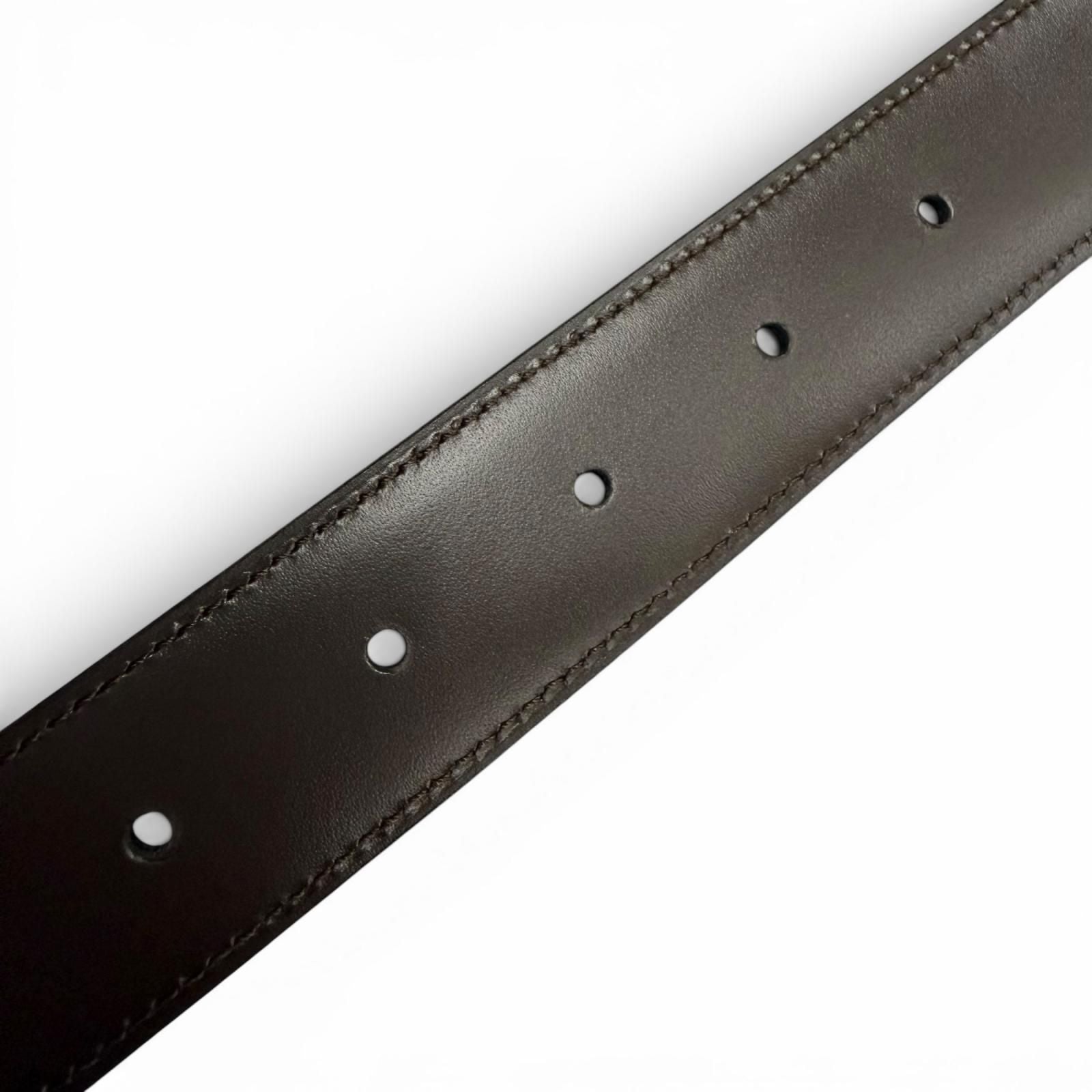 Cartier Belt (Color)