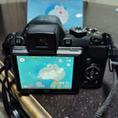 Nikon Digital Slr 24