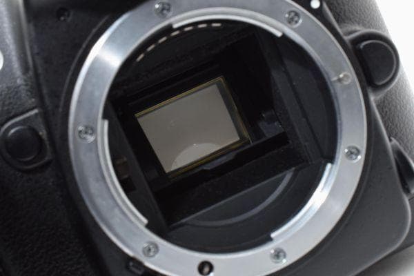 Nikon Digital Slr D80 Body #1016