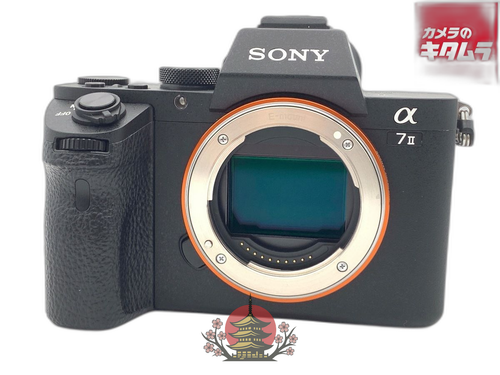 Mirrorless Interchangeable Lips 7Ii [Ilce-7M2]