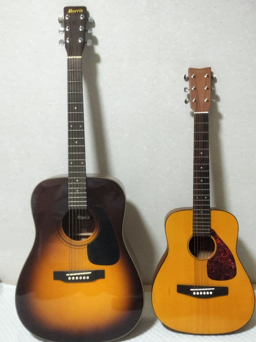 Yamaha Acoustic Guitars Fg-Junior Jr2
