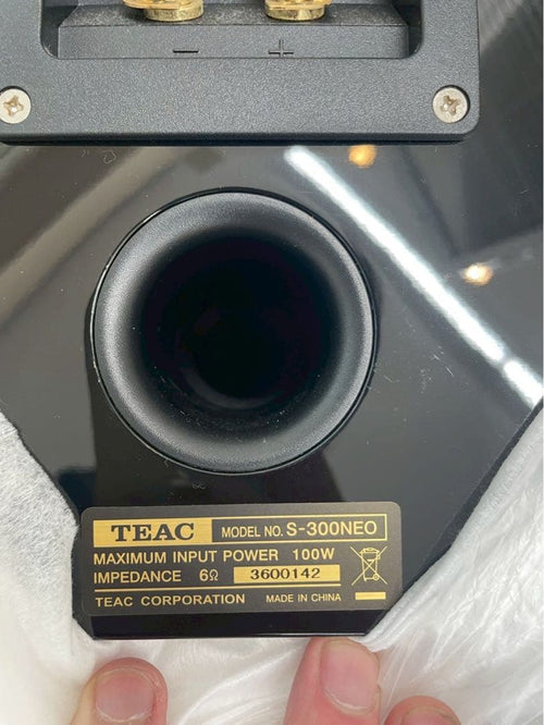 Speaker Teac S-300Neo