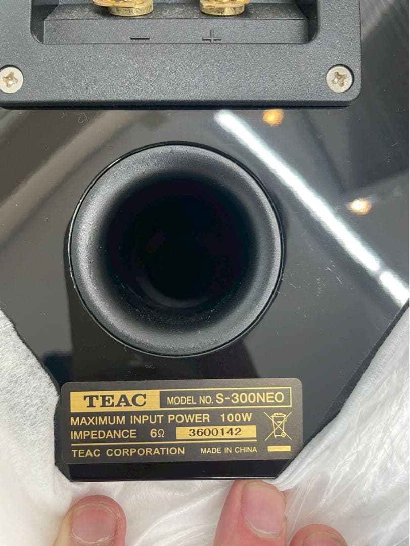 Speaker Teac S-300Neo