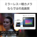 Mirrorless Interchangeable Lips Vlogcam Zv-E10 Sony Vlog 4K60P Af Wi-Fi