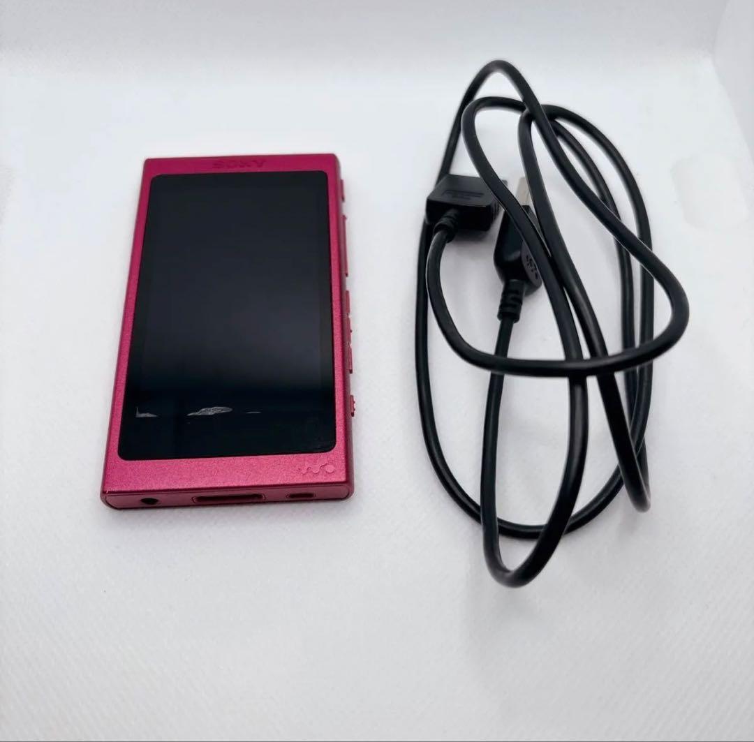 Sony Digital Audio Players Walkman Nw-A35 16Gb