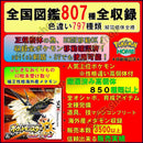 Pok Mon Games (Physical)
