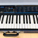 Korg Analog Synthesizers Poly-800 49
