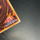 Yu -Gi -Oh! Ocg Duel Monsters Loch
