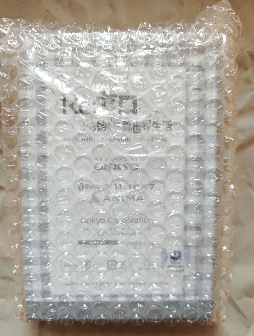 Onkyo Wireless Earphones Re