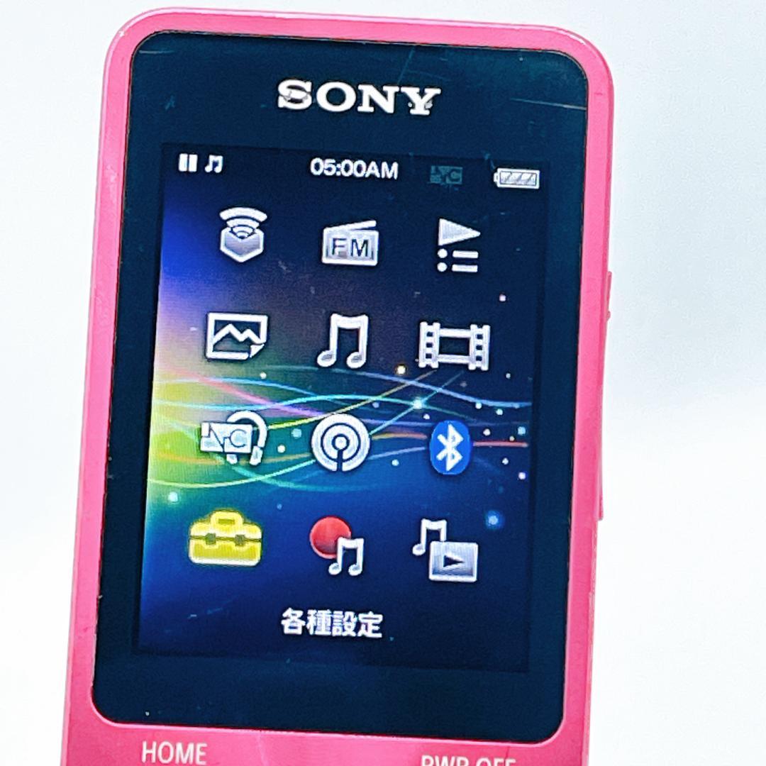 Sony Digital Audio Player Walkman Nw-S13