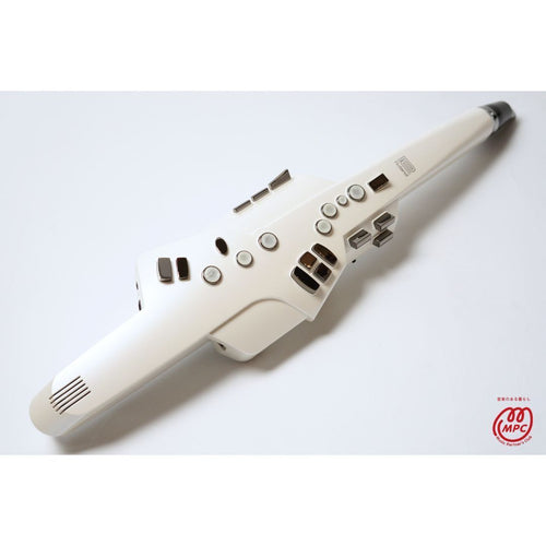 Roland Others Aerophone Ae-10