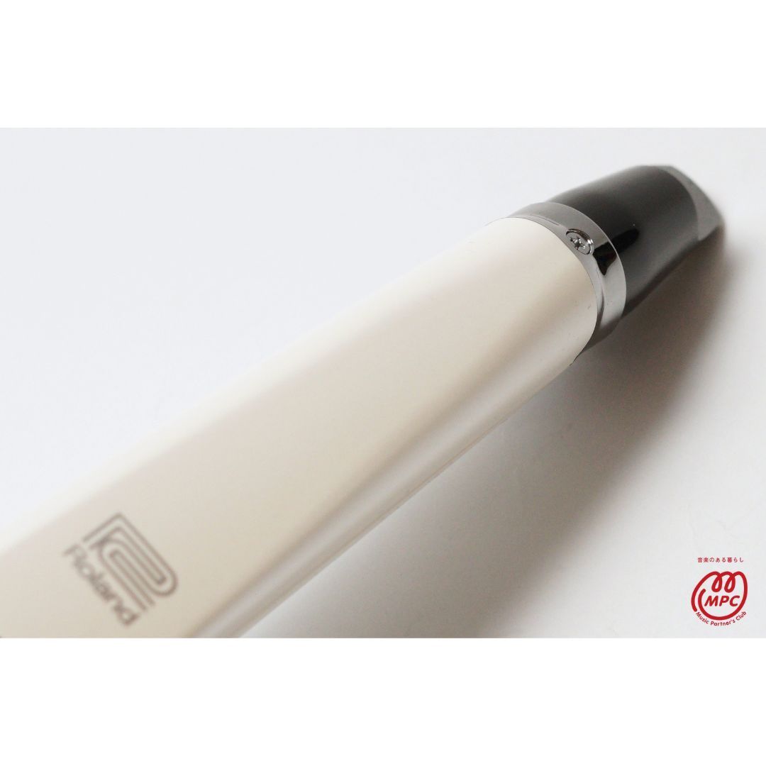 Roland Others Aerophone Ae-10