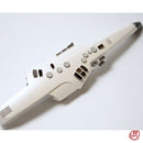 Roland Others Ae-10
