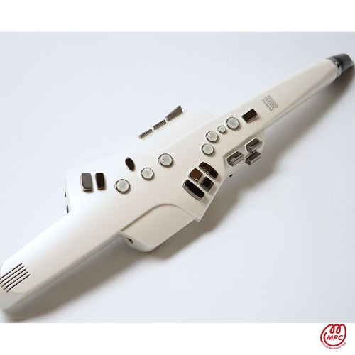 Roland Others Ae-10