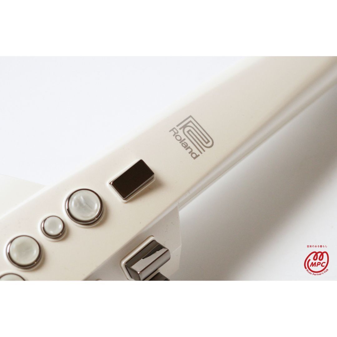 Roland Others Aerophone Ae-10
