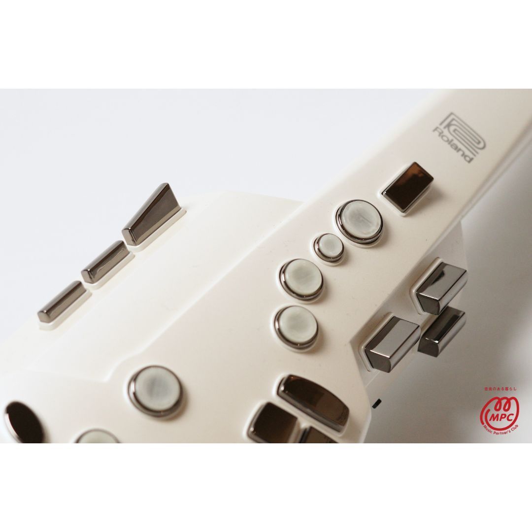 Roland Others Aerophone Ae-10