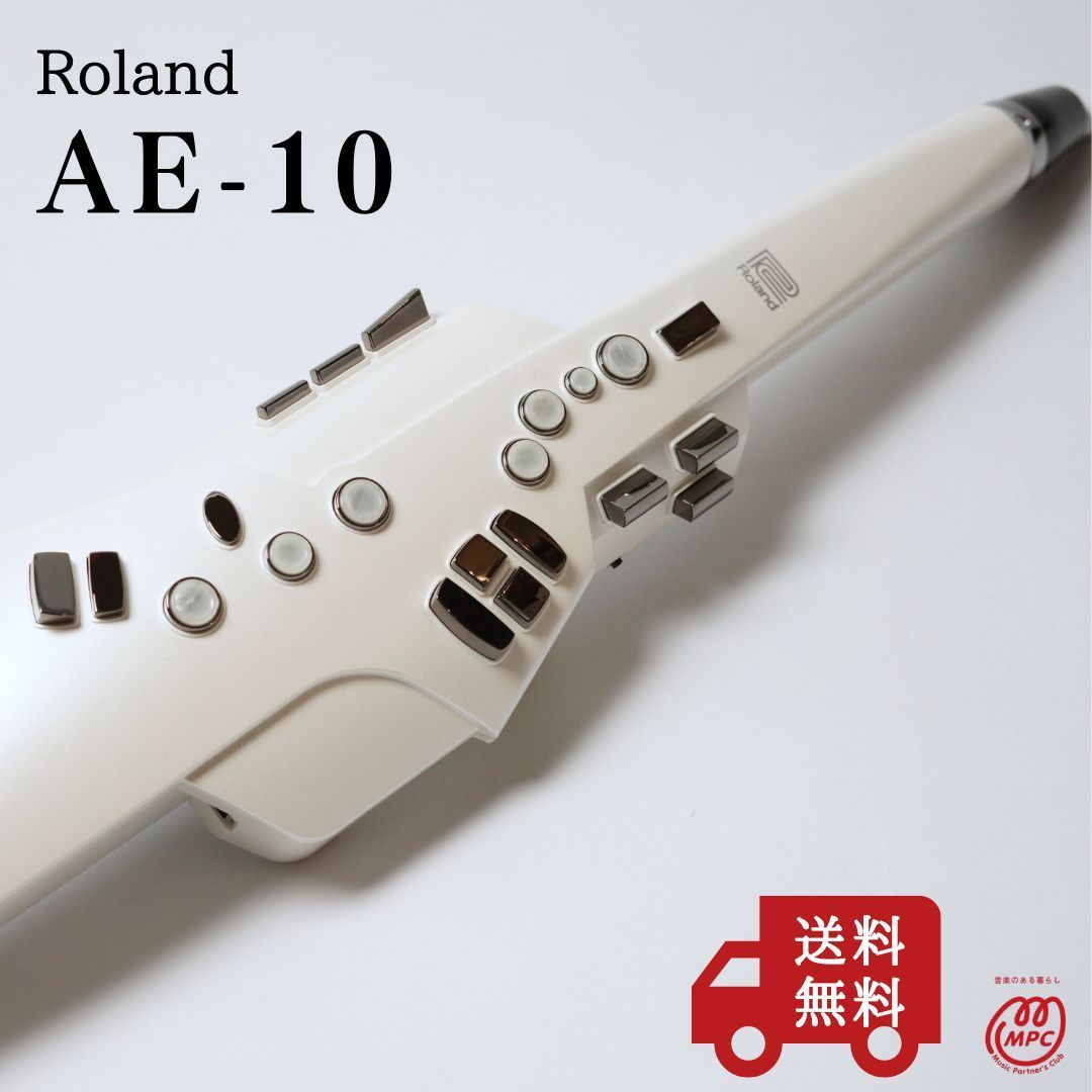 Roland Others Ae-10