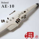 Roland Others Ae-10