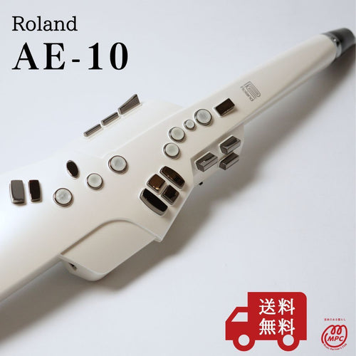 Roland Others Ae-10