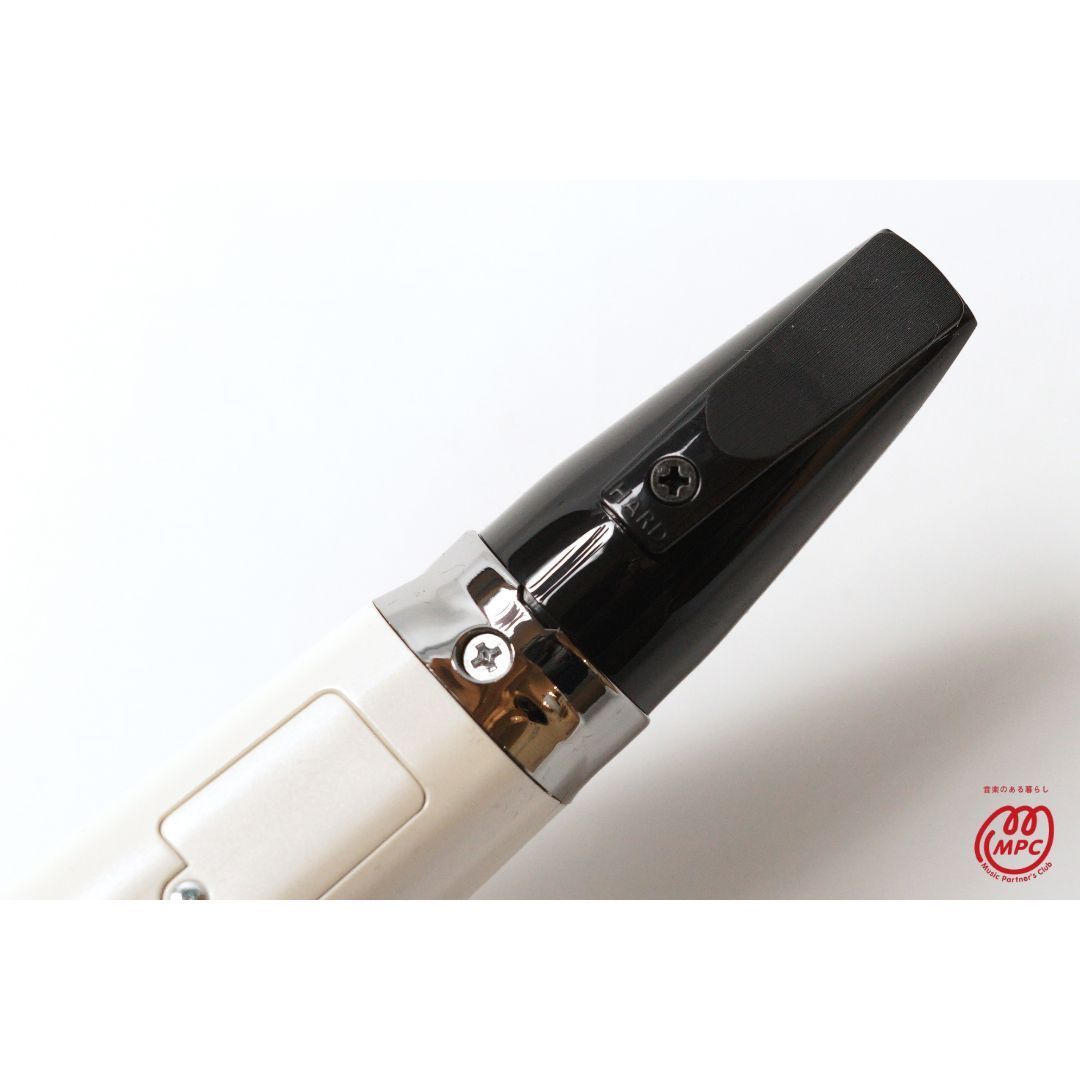 Roland Others Aerophone Ae-10